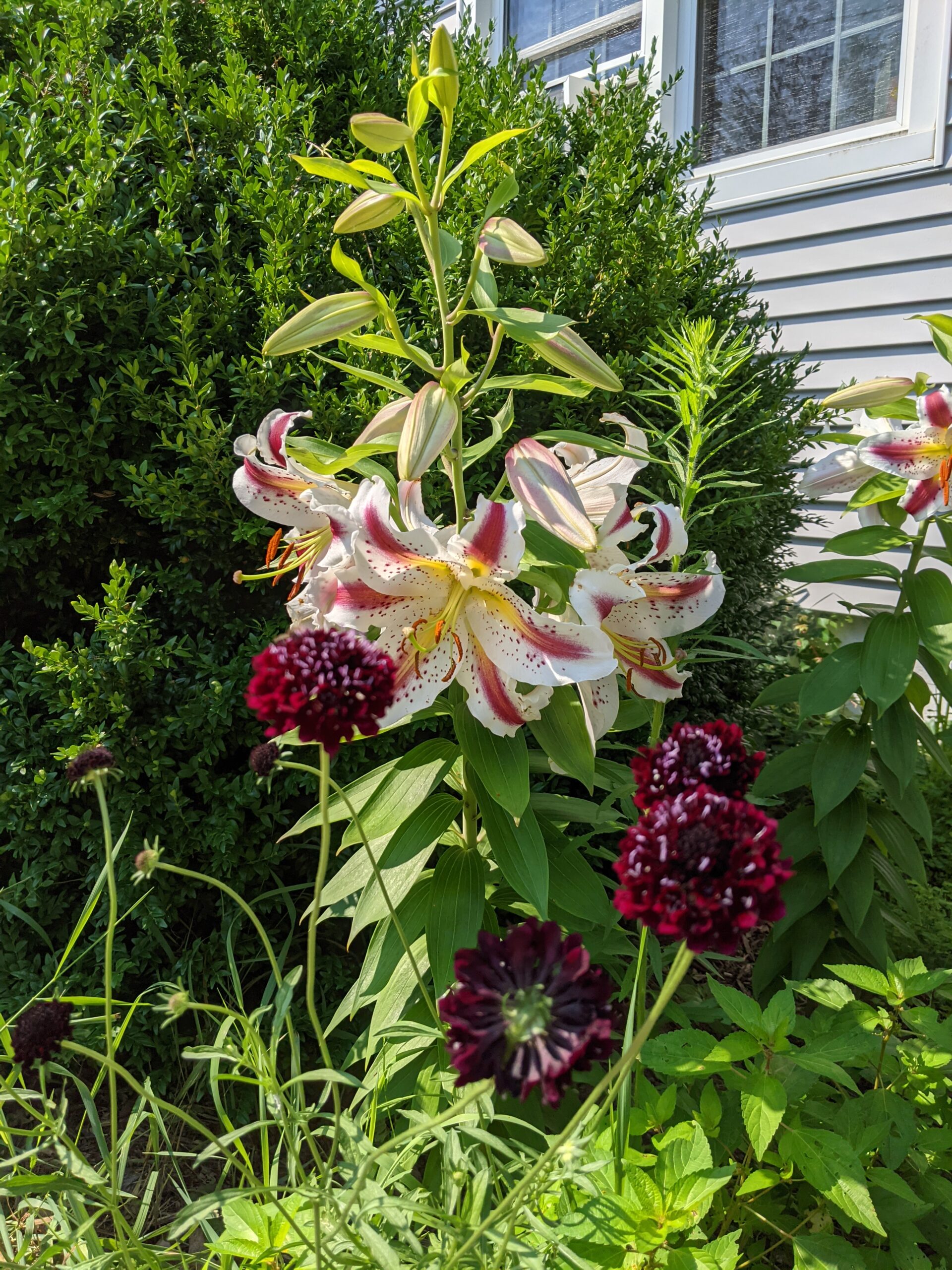 christine's three weddings bouquets a gpod takeover 4 weddings bouquets gpod