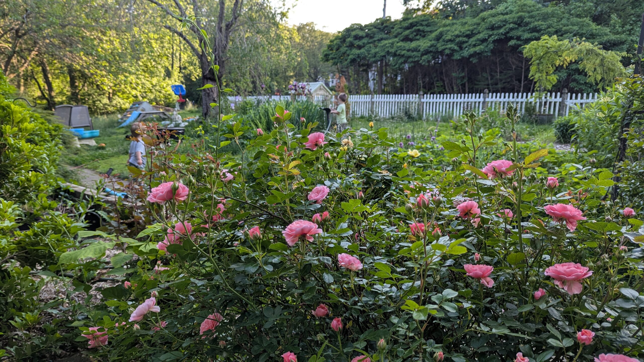 christine's three weddings bouquets a gpod takeover 8 weddings bouquets gpod
