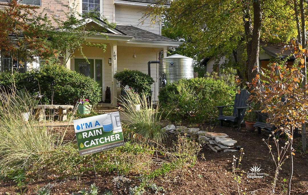 rain gardens catch and hold runoff water 2 rain catcher sign in front of rain garden; a metal rain tank at the porch
