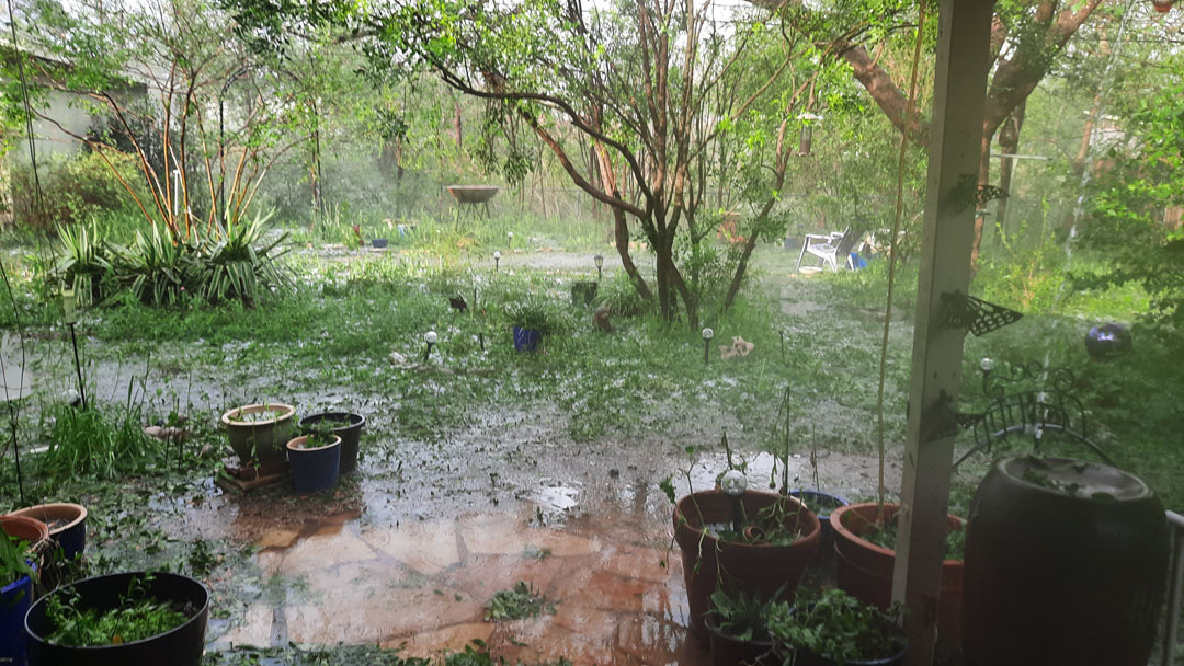 rain gardens catch and hold runoff water 1 yard and garden after hail storm