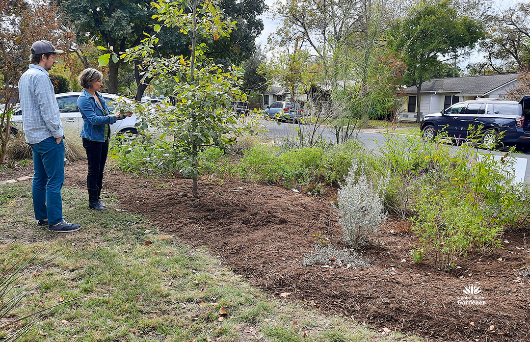 rain gardens catch and hold runoff water 10 paige with young man in front of rain garden planting