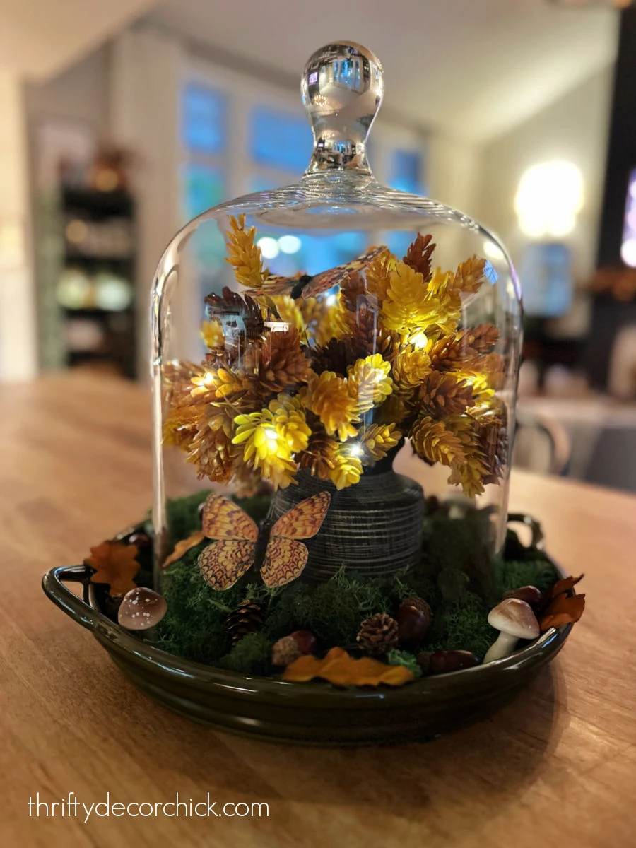 diy fall themed display under a glass cloche thrifty decor chick 5 fall decor under glass cloche