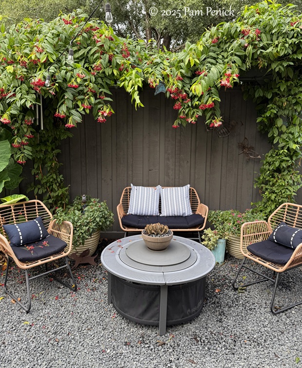 tropical punch in houston garden 1 punch houston garden