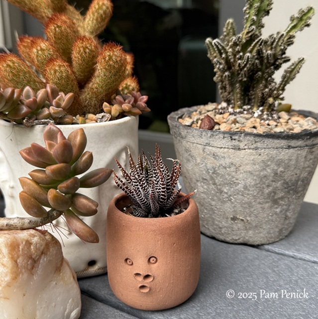 tropical punch in houston garden 4 punch houston garden