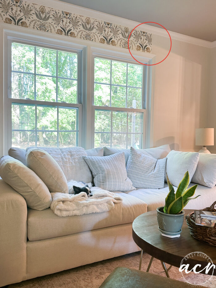 hanging prepasted strippable wallpaper artsy chicks rule 22 circle showing where the best place to end it would've been over window