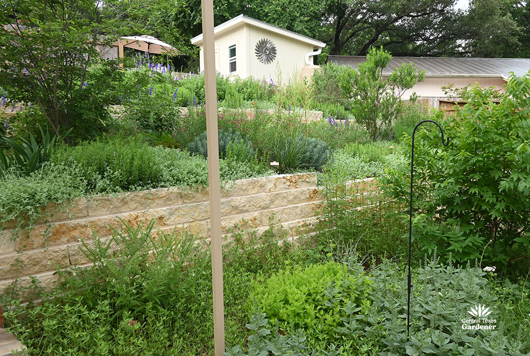 prairie up benjamin vogt new episode 3 limestone planters with various foliar and flower colors and types of plants