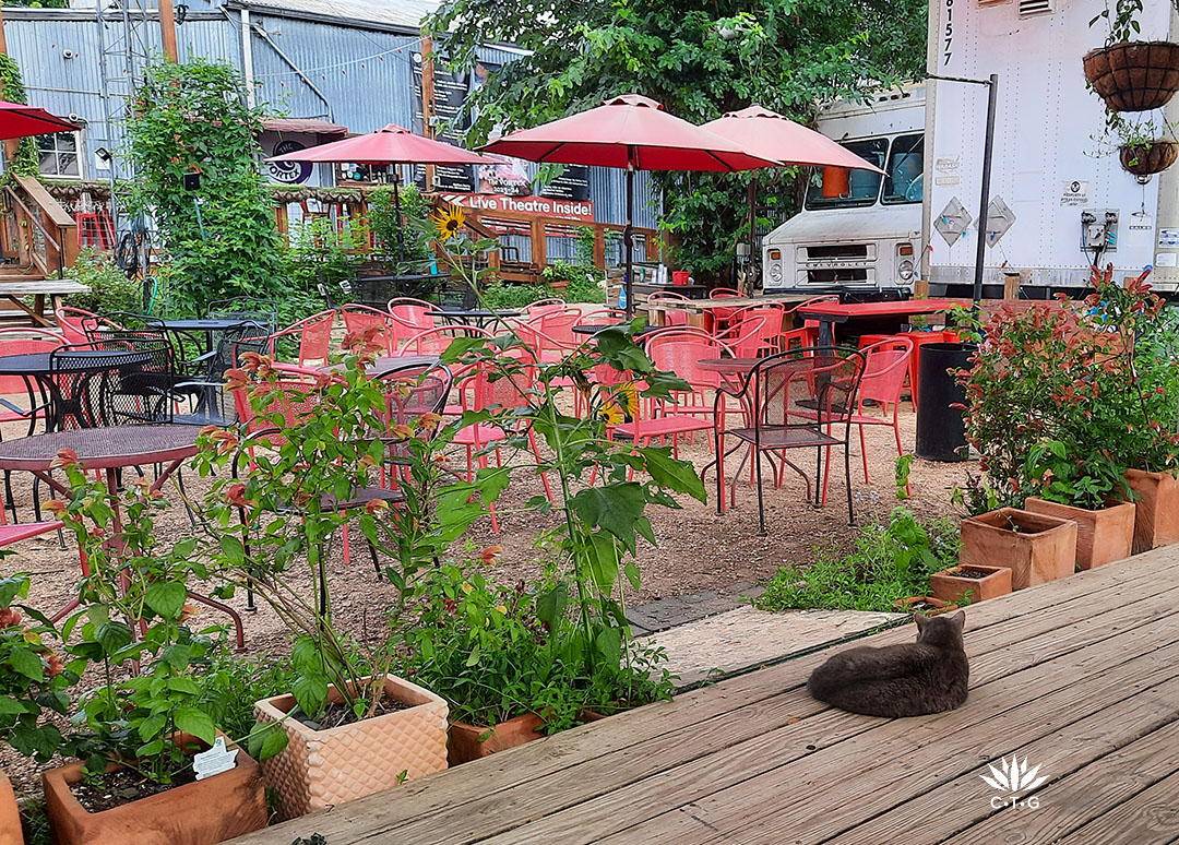 prairie up benjamin vogt new episode 9 cat on stage looking at plants