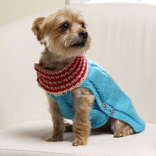 dog sweater free