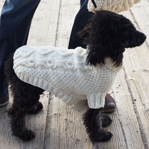 dog sweater free