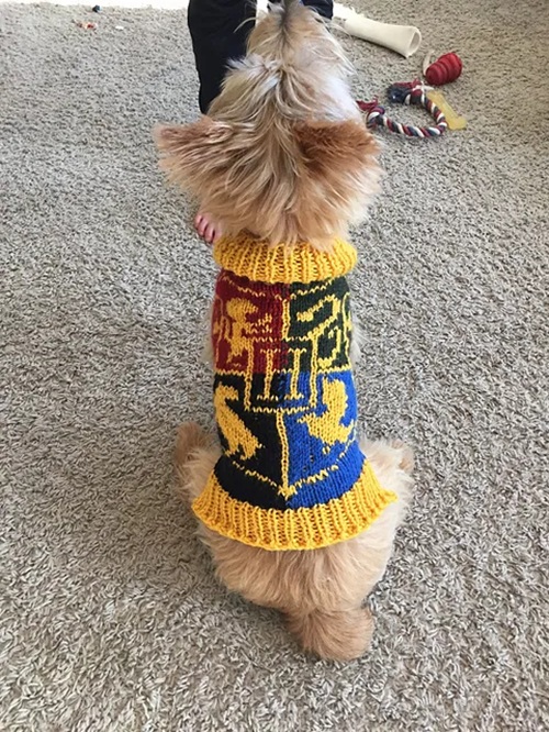 dog sweater free
