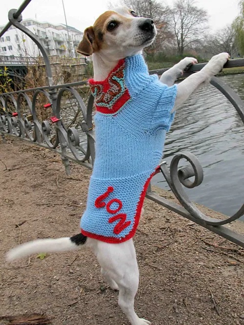 dog sweater free