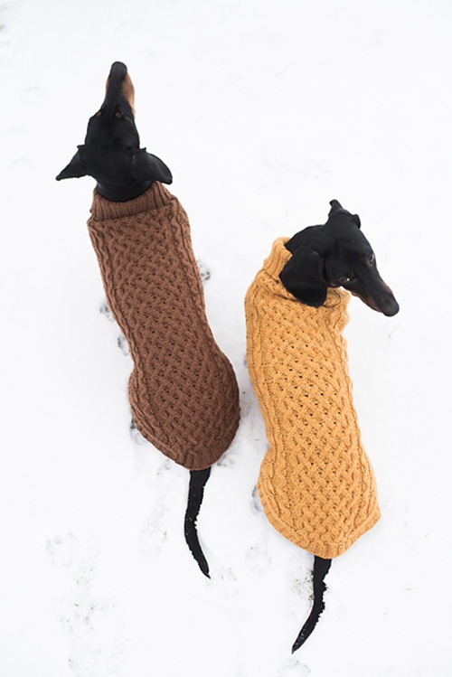 dog sweater free