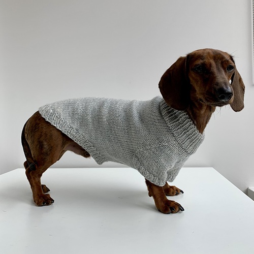 dog sweater free