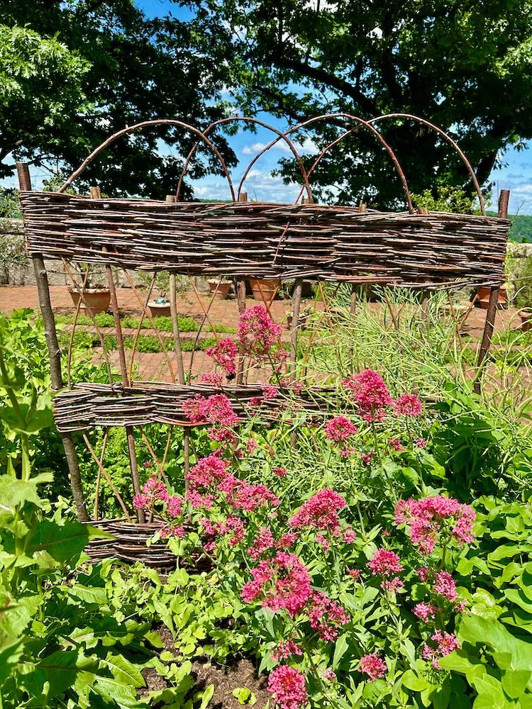 met cloisters gardens