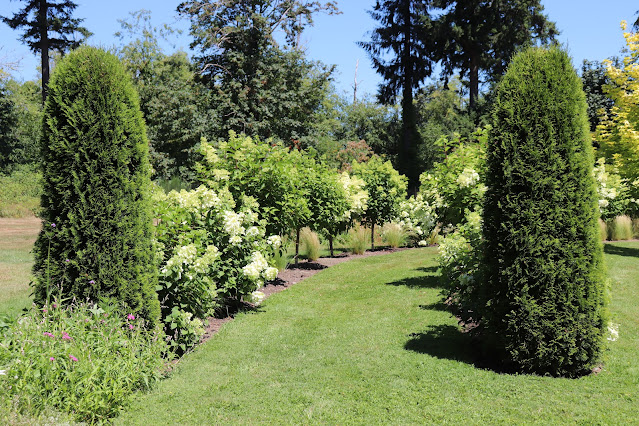 puget sound garden