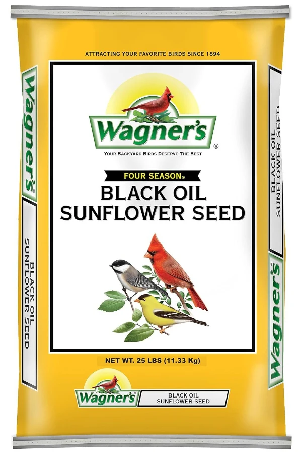 black oil sunflower seeds
