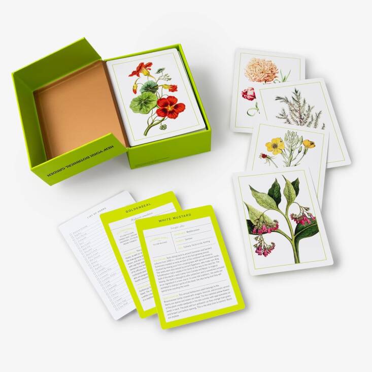nybg wildflower flash cards