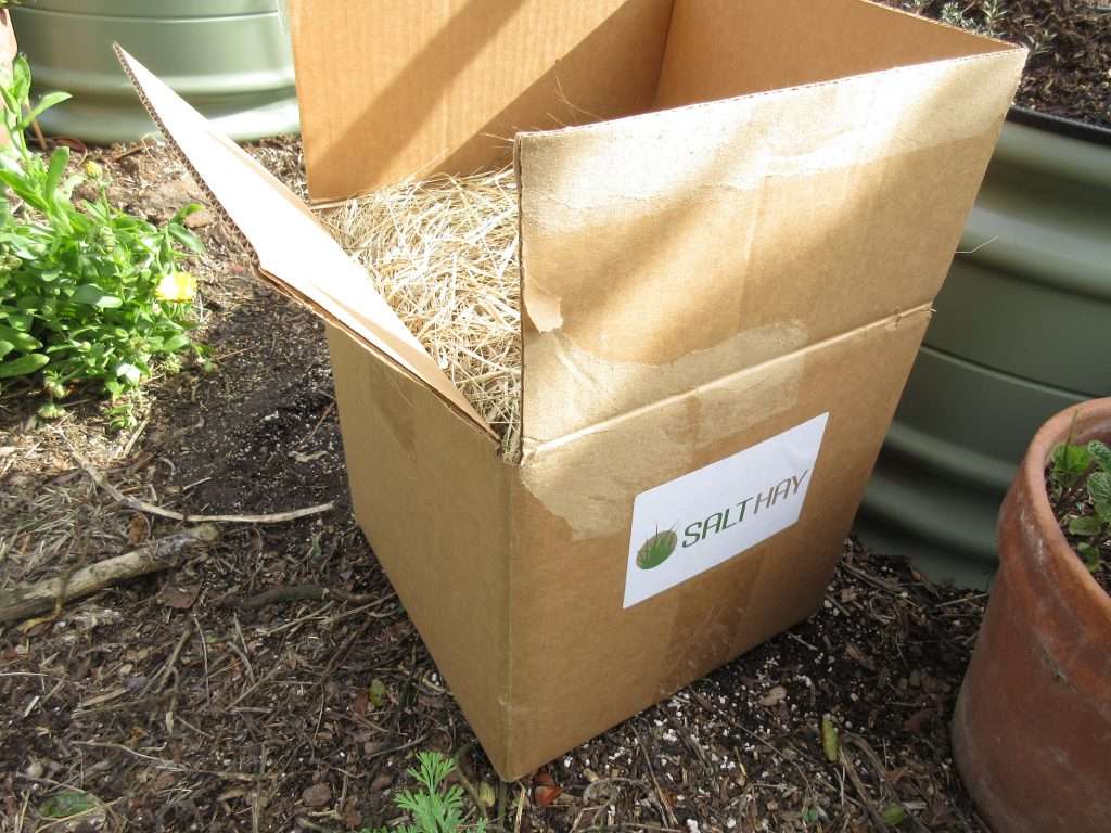 salt hay mulch