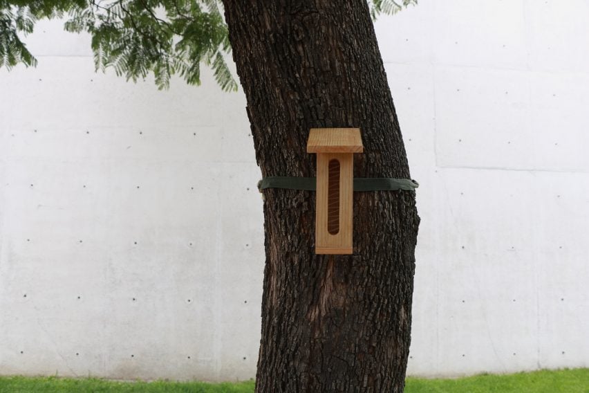a photograph of a wooden birdbox on a tree