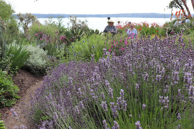 puget sound garden