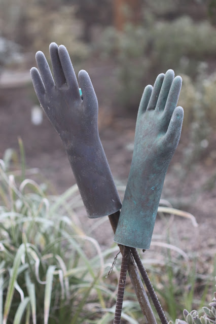 cistus nursery dressed in frost