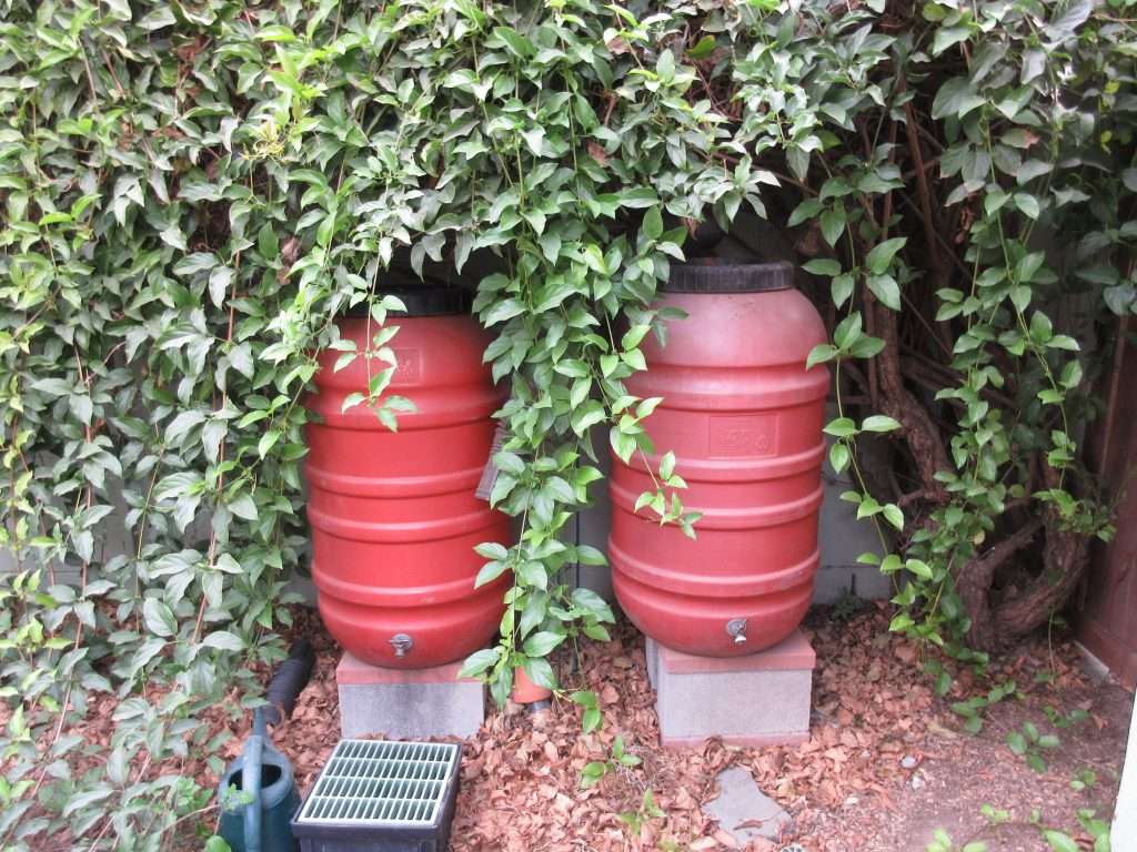 wednesday getting planted