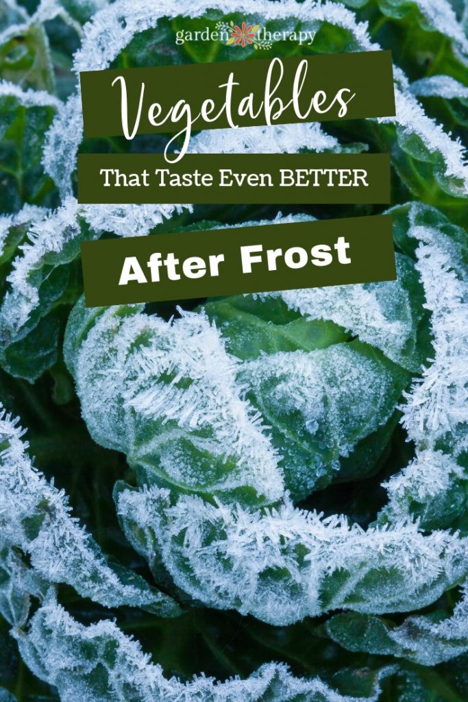 vegetables that get tastier after a frost 7 vegetables that taste even better after frost