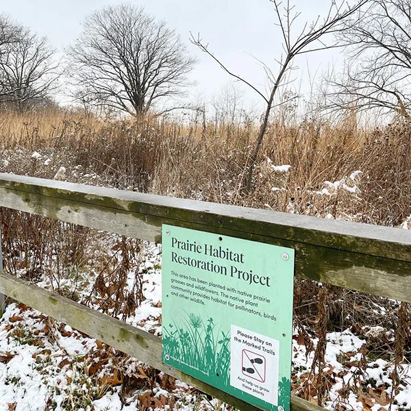 a prairie habitat restoration project
