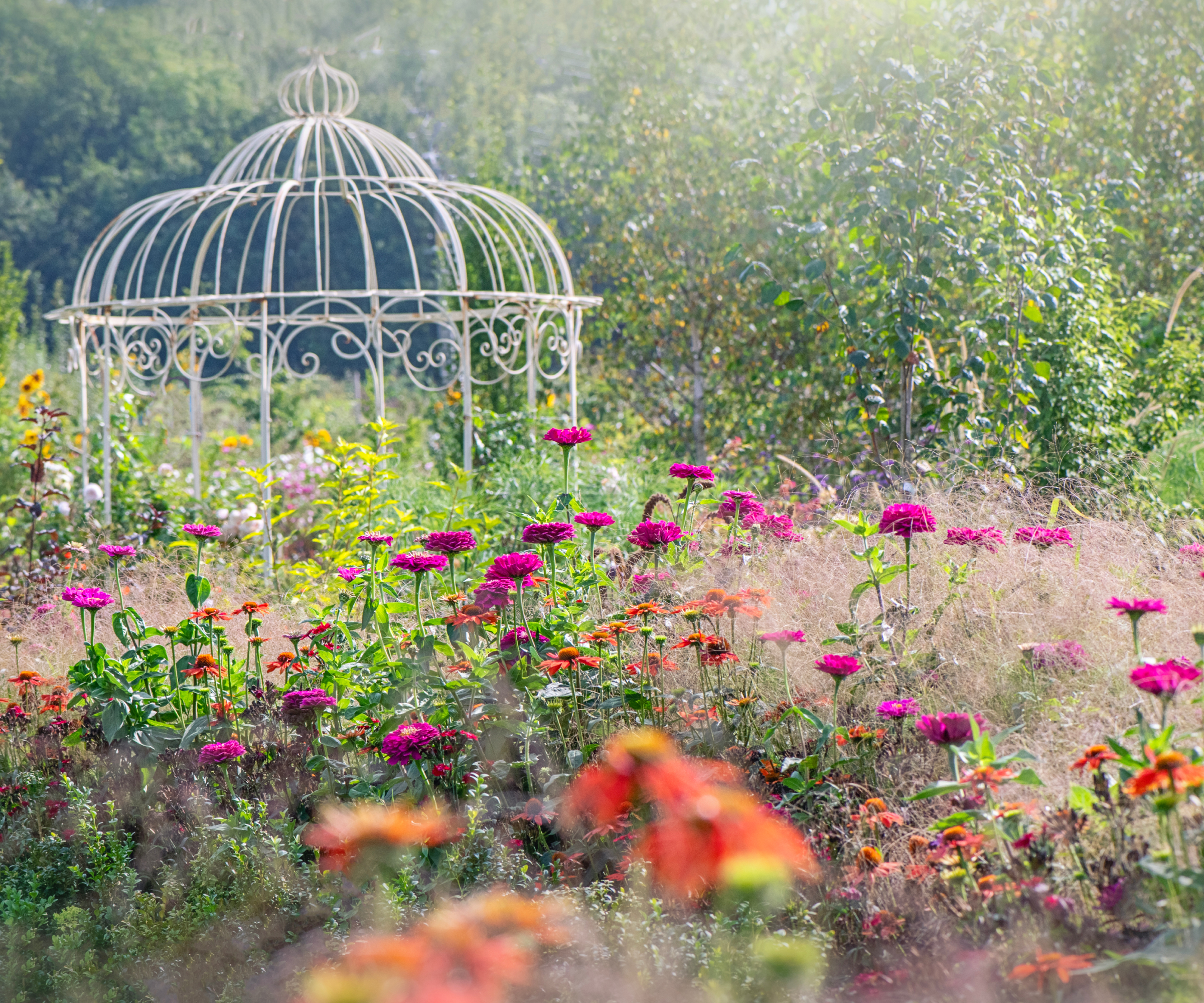 Nostalgia Gardening New Ways To Use Classic Plants