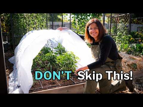 what to plant in december in arizona 1 youtube video