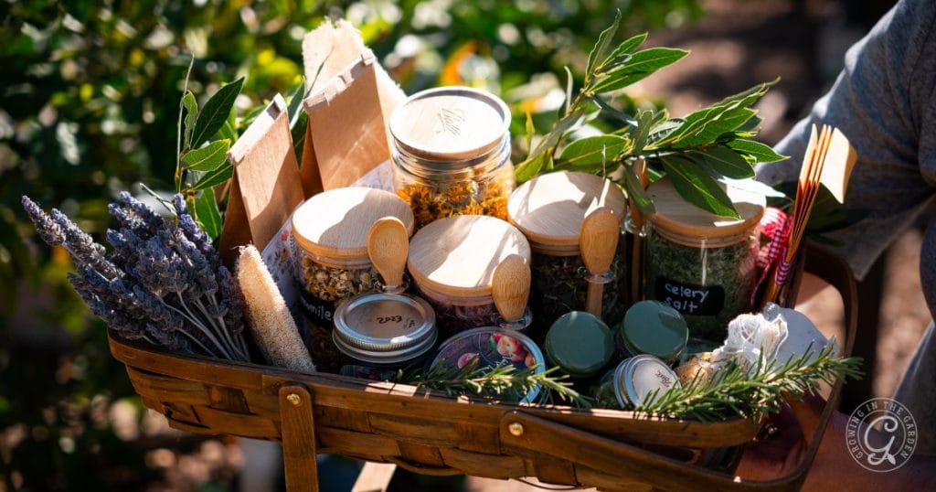 what to plant in december in arizona 13 gifts from the garden