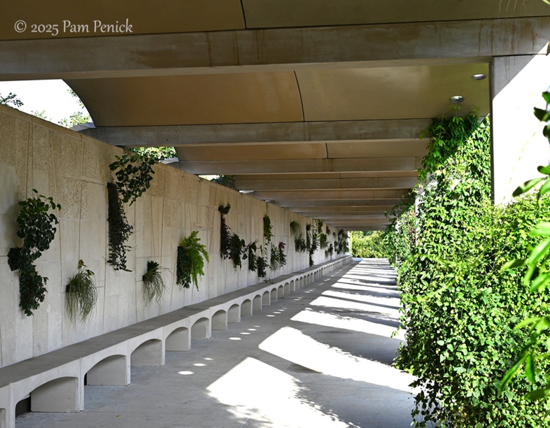 foliage power at houston botanic garden 1 houston botanic garden