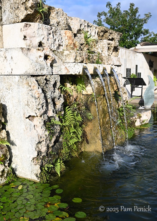 foliage power at houston botanic garden 2 houston botanic garden