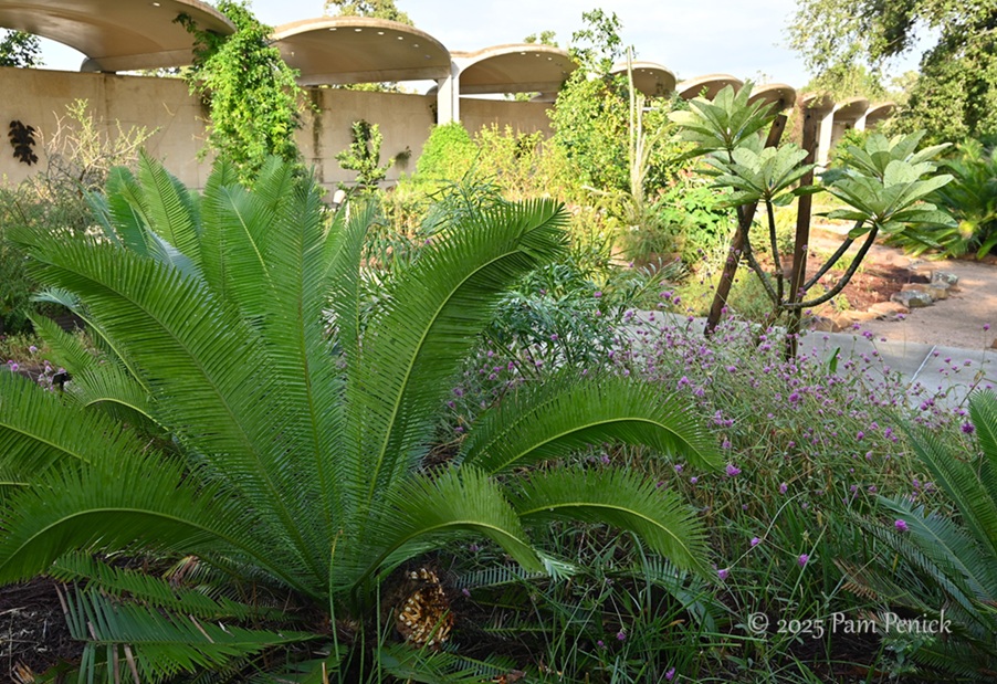 foliage power at houston botanic garden 3 houston botanic garden