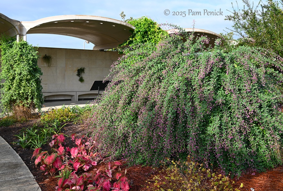 foliage power at houston botanic garden 4 houston botanic garden
