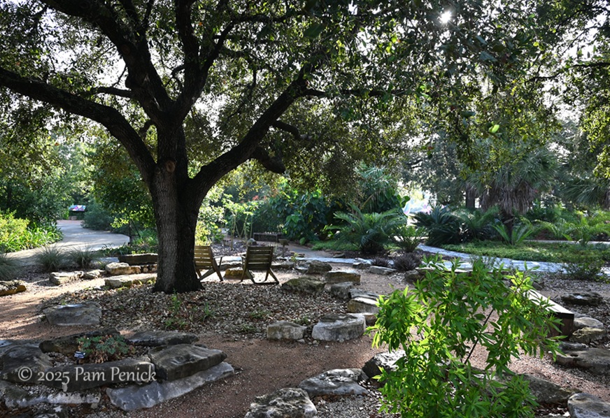 foliage power at houston botanic garden 8 houston botanic garden