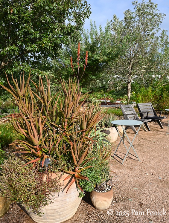 foliage power at houston botanic garden 11 houston botanic garden