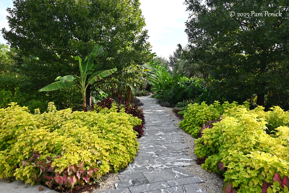 foliage power at houston botanic garden 12 houston botanic garden