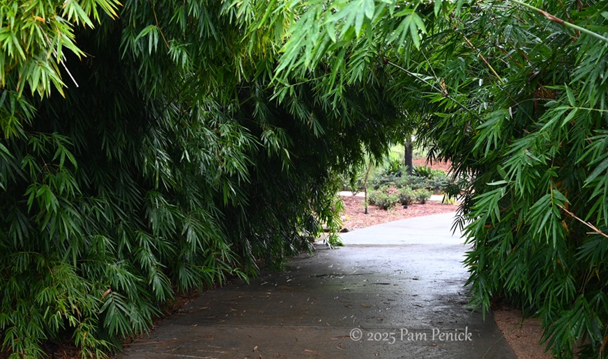 foliage power at houston botanic garden 13 houston botanic garden