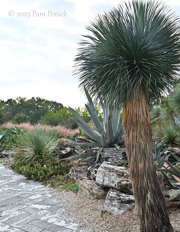 foliage power at houston botanic garden 15 houston botanic garden
