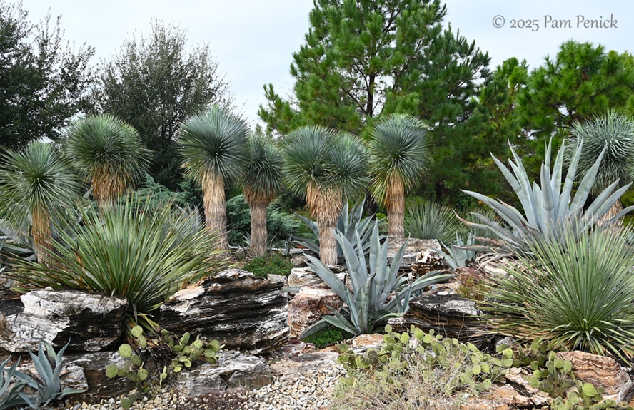 foliage power at houston botanic garden 17 houston botanic garden