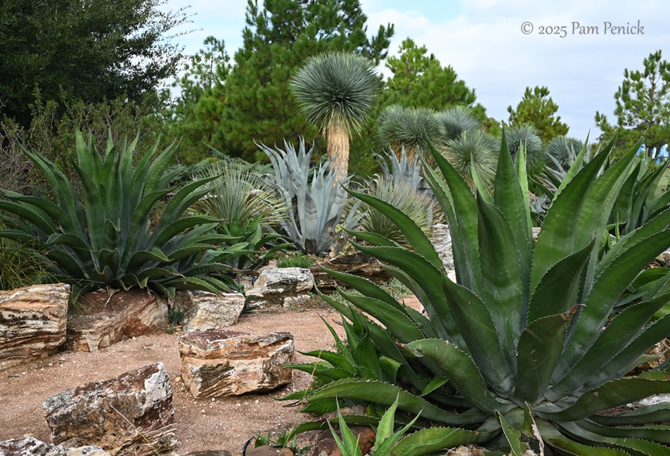 foliage power at houston botanic garden 18 houston botanic garden