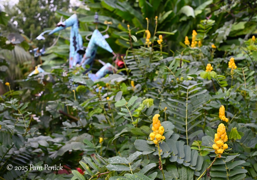 foliage power at houston botanic garden 19 houston botanic garden