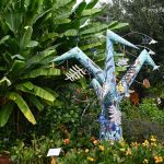 Foliage power at Houston Botanic Garden