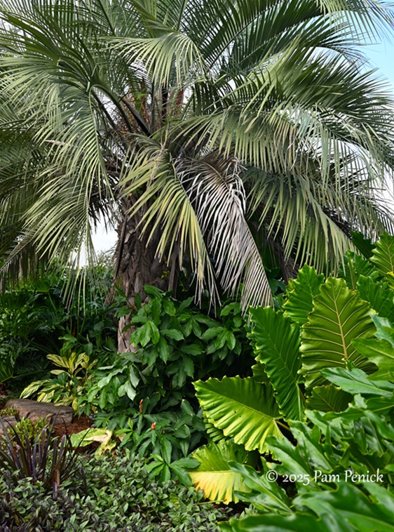 foliage power at houston botanic garden 22 houston botanic garden