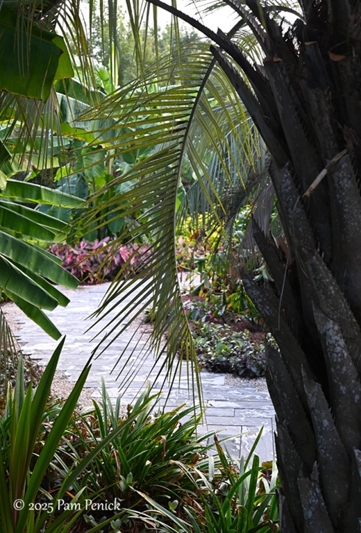 foliage power at houston botanic garden 25 houston botanic garden