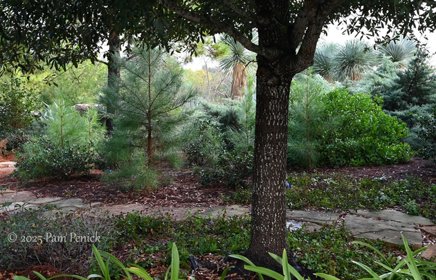 foliage power at houston botanic garden 26 houston botanic garden