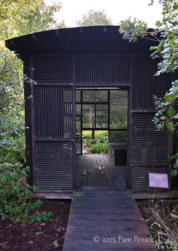 foliage power at houston botanic garden 27 houston botanic garden