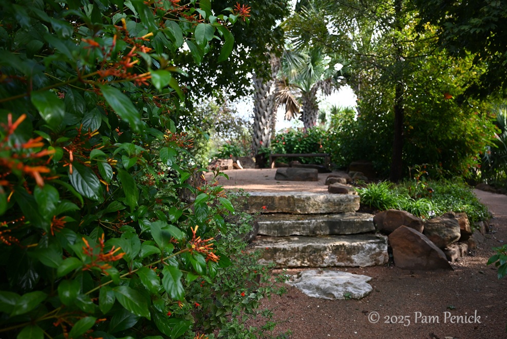 foliage power at houston botanic garden 28 houston botanic garden