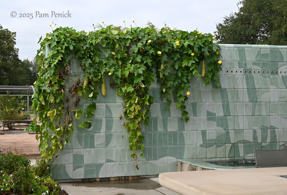 foliage power at houston botanic garden 30 houston botanic garden